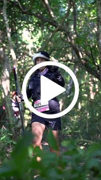 BIB:  <button type="button" onclick="openModal(28082509)" class="btn btn-primary btn-sm float-right" data-toggle="modal" data-target=".modal-high-quality">
                <i class="fa fa-download"></i> Download
                </button>